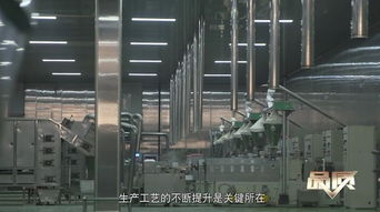 素之美味，海納百川 生物科技如何重塑未來飲食品質(zhì)